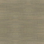Mocha Brown (Room Darkening)